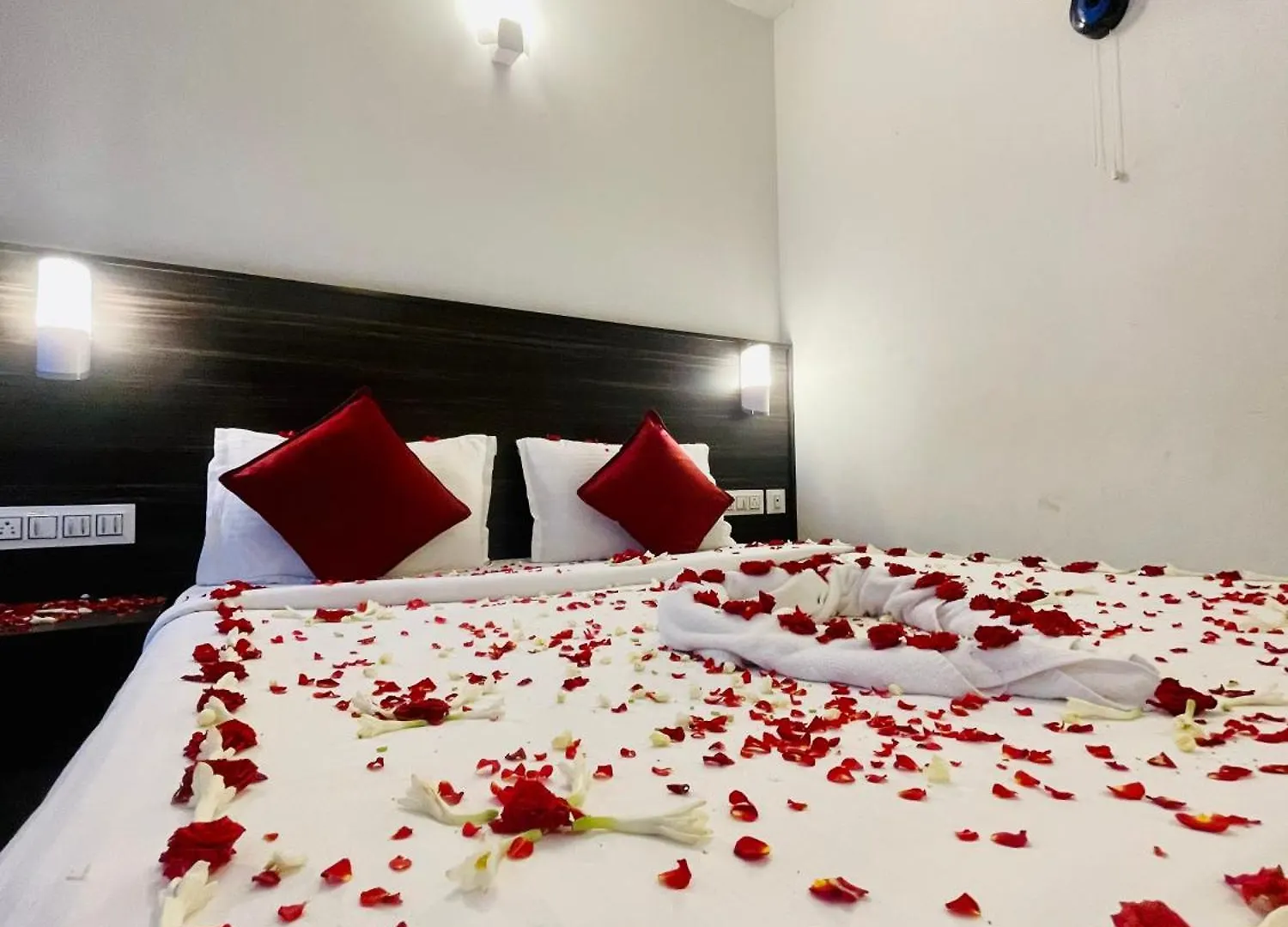 **  Hotel Skylark Holidays Munnar Indie